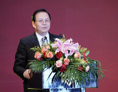 国家创新与发展战略研究会副理事长,中国发展研究院院长王彤